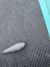 水滴型柳葉鉛墜筏竿海竿遠(yuǎn)投拋帶環(huán)足克鉛墜釣魚(yú)鯽魚(yú)漁具配件包郵 【10枚裝】 水滴鉛墜丨100g 曬單實(shí)拍圖