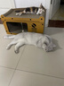 喵仙兒貓抓板電視機(jī)雙層貓窩一體瓦楞紙貓爪板立體貓屋沙發(fā)貓咪玩具用品 曬單實(shí)拍圖