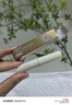 sakose洋甘菊潤唇膏2支裝共5.6g 養(yǎng)護(hù)防干裂唇膜保濕舒緩修護(hù)雙唇升級款 曬單實(shí)拍圖