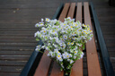 索尼 SONY 微單數碼相機NEX-5R NEX-5T NEX-6 NEX-7 奶昔系列二手相機 NEX-5R黑色 16-50mm套機 95新 曬單實拍圖