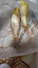 錦鯉魚活魚觀賞魚純種魚大型紅白冷水淡水好養(yǎng)耐活金魚小魚苗錦鯉 11-13cm黃金2條 曬單實(shí)拍圖