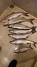 國王路亞手套夏季天釣魚專用冰絲速干露五指飛磕海釣防曬防滑透氣 藍(lán)色L碼 曬單實(shí)拍圖