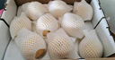 京鮮生 長(zhǎng)城河北老樹(shù)皇冠梨 凈重5斤 單果250g+ 生鮮水果禮盒 曬單實(shí)拍圖