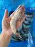 Member's Mark 泰國進(jìn)口 生冷凍黑虎蝦 2kg (約31-40只/每千克) 2kg(凈重) 曬單實(shí)拍圖