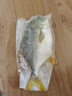 翔泰 海南大規(guī)格金鯧魚550g1條 海魚 生鮮魚類 火鍋 海鮮水產(chǎn) 曬單實(shí)拍圖