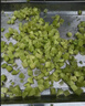 京贊切菜機商用食堂用切絲切片機 不銹鋼全自動(dòng)大型切菜機大功率 土豆蘿卜藕片多功能切菜機 豪華升級數控【切絲片丁段 曬單實(shí)拍圖