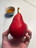 紅啤梨5斤河南靈寶高山新鮮軟梨現(xiàn)摘當(dāng)季紅皮啤酒梨太婆梨老人梨 小果體驗(yàn)裝單果80g一100克不紅啤 3斤 曬單實(shí)拍圖