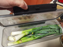 QCSK德國面條收納盒食品級意面長方形防蟲密封保鮮盒冰箱蔥香菜收納盒 黑蓋【矮款】中號【裝1KG面條】 食品級材質(zhì) 有密封圈 曬單實(shí)拍圖