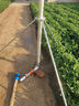 farmer bobo農(nóng)業(yè)灌溉搖臂噴槍360度自動旋轉(zhuǎn)噴頭農(nóng)田噴灌設(shè)備抗旱澆地噴槍 1.5寸噴槍+2寸水帶支架 曬單實拍圖