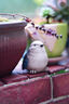 卡色（Kase）85mm F1.4 定焦鏡頭 大光圈 全畫幅 自動(dòng)對(duì)焦 人像 街拍 風(fēng)光 尼康索尼微單相機(jī)鏡頭 索尼E卡口（贈(zèng)減光&黑柔二合一魔法鏡） 官方標(biāo)配 曬單實(shí)拍圖