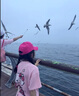 FIDQIOG國際品牌女童短袖T恤2025夏季新款蝴蝶結(jié)小貓印花可愛女孩洋派上衣 粉色上衣+內(nèi)搭褲 M 130cm 曬單實拍圖