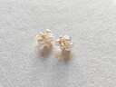 伊燦小葡萄輕奢仿珍珠耳釘女小眾高級感無(wú)耳洞耳夾耳環(huán)2025年新款耳飾 小葡萄輕奢仿珍珠無(wú)耳洞耳夾 曬單實(shí)拍圖