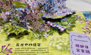當(dāng)當(dāng)正版 昆蟲記立體書 贈“昆蟲觀察指南” 自然科普啟蒙 親子共讀書（10大跨頁，38個立體互動，50個昆蟲，上百個知識點，震撼呈現(xiàn)法布爾《昆蟲記》課外閱讀名著） 昆蟲記：立體書 曬單實拍圖