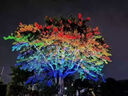 潔能輝LED彩虹投光燈戶外防水景觀園林溶洞七彩染色燈公園氛圍射燈 50W彩虹投光燈/染色燈 曬單實拍圖