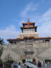 晨光(M&G)文具0.9ml可擦墨藍(lán)色墨囊 可替換藍(lán)黑色鋼筆墨囊 學(xué)生寫(xiě)字鋼筆水 50支/盒AIC47649 曬單實(shí)拍圖