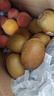佳沛（zespri）新西蘭  陽光金奇異果10粒禮盒巨大果單果約144-175g 水果 獼猴桃 曬單實拍圖