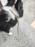 柒哦狗狗牽引繩防爆沖p繩狗鏈遛狗繩子中大型犬柴犬柯基防掙脫拴狗繩 卡其色【防勒手 防纏繞 防爆沖】 總長1.5米 適用于大中小全犬種 曬單實拍圖