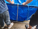 晟靂帆布魚池帶支架防水布養(yǎng)魚水箱加厚游泳池蓄水池專用刀刮布養(yǎng)殖池 雙層支架2X1.5X0.9米+排水 曬單實拍圖