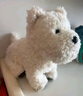 babycare&bctoys兒童毛絨玩具狗電子哈基米寵物玩偶節(jié)日生日禮物西高地犬 曬單實(shí)拍圖