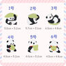 貝親（Pigeon）自然離乳系列吸嘴 替換奶嘴 6月+ BA151 曬單實(shí)拍圖