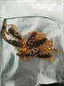 蝎子油炸全蝎沂蒙山活蝎子食品現(xiàn)炸十足全蝎開袋即食中藥食用藥用 50只成年蝎【5到6厘米】原味 曬單實(shí)拍圖
