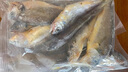 順豐小黃魚(yú)深海捕撈速凍生鮮野生黃花魚(yú)肉質(zhì)鮮嫩海鮮水產(chǎn)煲湯煎炸 1斤【小黃花魚(yú)】 曬單實(shí)拍圖