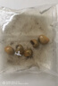 黃金螺活體寵物飼料除藻魚(yú)觀(guān)賞螺清潔魚(yú)缸吃魚(yú)糞便淡水專(zhuān)用工具螺 黃金螺2-3cm3個(gè)/送2個(gè)備損 曬單實(shí)拍圖