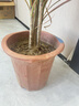 盆栽植物固定防倒伏護葉架月季花卉花枝扶持架綠植蝴蝶蘭花支撐架 支撐桿30cm*10根+固定扣15個(gè) 曬單實(shí)拍圖