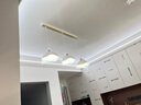名尊餐廳燈吊燈2025新款中山燈具三頭蛋殼奶油風吊燈中古風飯廳餐桌燈 咖色3頭 吊線120cm-三色變光 曬單實拍圖