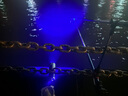 川澤電子夜光竿稍燈夜釣咬鉤變色海竿拋竿智能感應(yīng)卡扣釣魚報警器 爆閃變色【3支】配3粒電池 曬單實拍圖