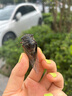 729奔騰2省套藍(lán)海綿乒乓球膠皮乒乓球拍反膠套膠粘性正手用 奔騰2國套 藍(lán)海綿_黑色 40度 曬單實(shí)拍圖