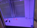 森森（SUNSUN）魚(yú)缸客廳超白玻璃方缸底過(guò)濾家用金魚(yú)缸生態(tài)水族箱包安裝 0.6米長(cháng)新式過(guò)濾 納米灰色 送到家 曬單實(shí)拍圖