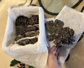 【順豐航空】云南野生菌 雞樅菌見手青頭菌紅蔥牛肝菌黑虎掌新鮮 干巴菌250g【珍稀品種】 云南空運(yùn)直郵 曬單實(shí)拍圖
