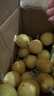 果益壽廣西欽蜜9號(hào)黃金百香果 新鮮水果白香果醬原漿整箱 超值30枚裝【單果30g以下】 曬單實(shí)拍圖