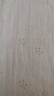 梵迪拉（F.DYRAA）泳衣女遮肚顯瘦女士泳裝泡溫泉連體裙保守游泳三件套15046綠色XL 曬單實(shí)拍圖