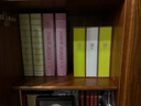 NCL仲林插袋式相冊(cè)本300張5寸/家庭影集/插頁相簿照片書 綠色葉子 NBPK-5-1 曬單實(shí)拍圖