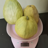 新鮮正宗湖北丑八怪香瓜現(xiàn)摘水果薄皮應(yīng)季黃金甜瓜黃皮蜜瓜整箱裝 凈重3斤 曬單實拍圖