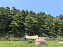 駱駝戶外精致露營蘑菇屋帳篷便攜折疊野營加厚野餐公園露營自動帳3030 曬單實拍圖