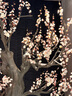 UR2025秋季新款女裝輕芭蕾風(fēng)撞色蝴蝶結(jié)長袖T恤UYY450011 黑色 M 曬單實拍圖