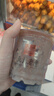 沃特堡（wartburg）荷蘭進口 高達奶酪片 天然原制 芝士片 200g 冷藏 早餐 三明治 曬單實拍圖