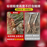 雅致特大車厘子樹苗大櫻桃果樹苗水果樹南北方俄羅斯8號3公分源頭直發(fā) 曬單實拍圖