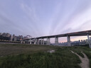 班尼路（Baleno）polo衫男夏季簡(jiǎn)約五分袖t恤透氣百搭學(xué)生翻領(lǐng)休閑襯衫男士短袖 曬單實(shí)拍圖