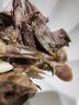 伊滿(mǎn)村燒鴿子家雀味碳烤乳鴿東北烤鴿子禮盒新鮮即食半成品伊通風(fēng)味 熏香味炭燒鴿 6只裝＋送1袋鴿三寶 曬單實(shí)拍圖