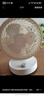 康佳（KONKA）空氣循環(huán)扇家用風(fēng)扇臺(tái)式電風(fēng)扇輕音節(jié)能渦輪對(duì)流換氣扇搖頭電扇交流定頻小風(fēng)扇空調(diào)伴侶KF-XH2012S 曬單實(shí)拍圖