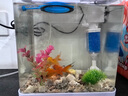 JCZS德國魚缸過濾制氧一體機(jī)超靜音客廳循環(huán)水泵凈水器三合一魚馬桶 【6W/吸便-培菌凈水】 曬單實拍圖