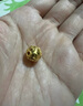 沃爾金足金999回紋祥云珠六字真言珠錢幣珠福字珠轉(zhuǎn)運(yùn)散珠串繩手鏈配件 0.7g-8mm錢幣珠-多退少補(bǔ) 曬單實(shí)拍圖