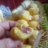 版納榴蓮蜜應(yīng)季熱帶新鮮水果手撕軟糯香甜濕苞巴掌小榴蓮整個包郵 1-2斤 曬單實拍圖