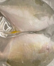 環(huán)球水產(chǎn)冷凍南海金鯧魚2斤/2條 生鮮魚類 火鍋 深海魚 海鮮水產(chǎn) 家庭聚餐 曬單實(shí)拍圖
