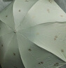 天堂 防紫外線晴雨傘三折 雨傘黑膠防曬太陽傘遮陽晴雨傘 凈空藍(lán) 曬單實拍圖