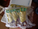 皇純即食海參1斤 有機(jī)食品認(rèn)證 鮮食 刺參 即食海參 500g 醇品5-9只大海參王 曬單實(shí)拍圖